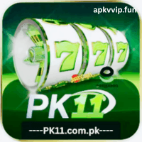 pk11 game